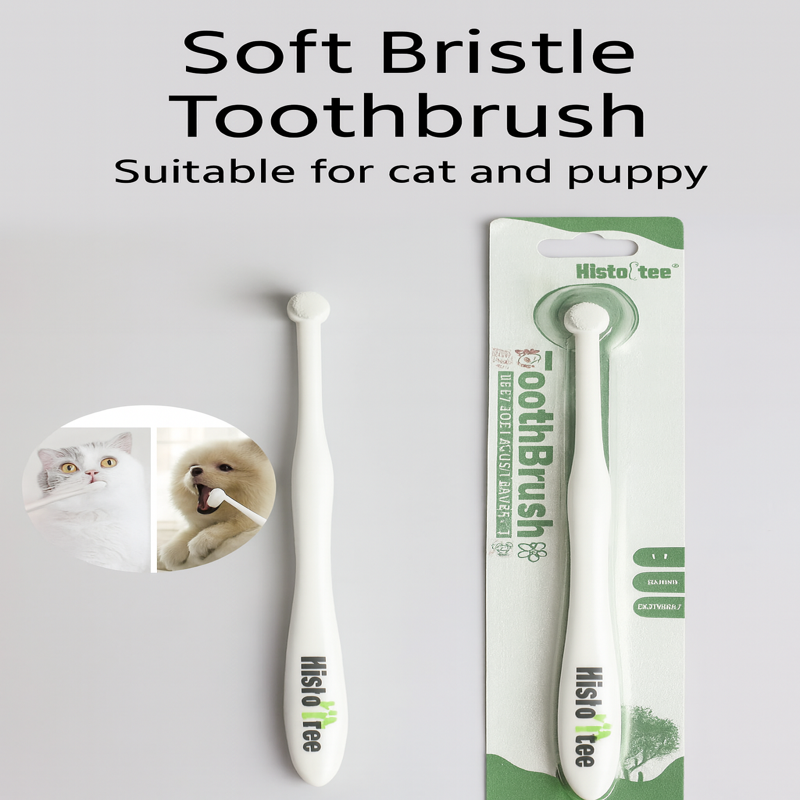 Round Head Cat Toothbrush – Soft Bristles for Dental Care