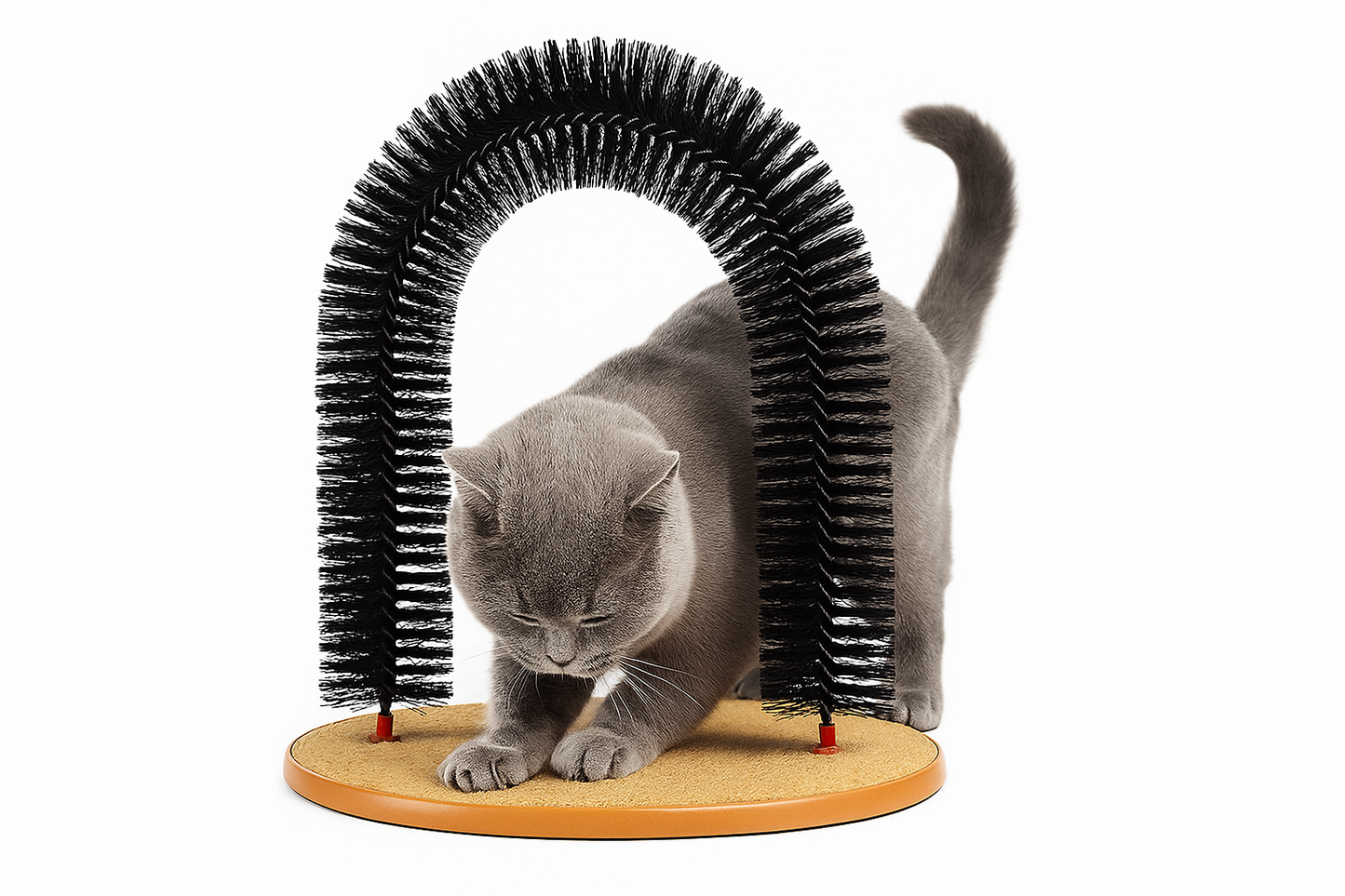Cat Self-Grooming Massage Tunnel - Shedding Brush & Toy for Cats